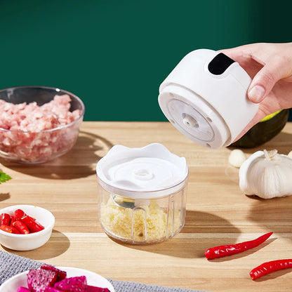 MINI PROCESADOR PORTATIL