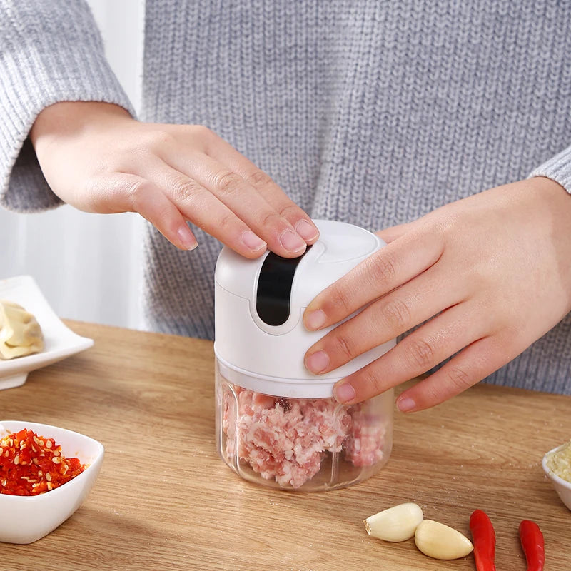 MINI PROCESADOR PORTATIL