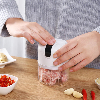 MINI PROCESADOR PORTATIL