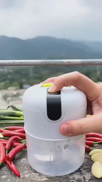 MINI PROCESADOR PORTATIL