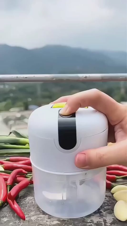 MINI PROCESADOR PORTATIL